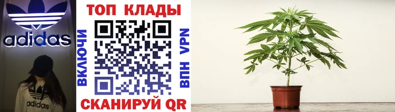 Хочу наркоту Белгород МДМА ГАШИШ АМФЕТАМИН Бошки Шишки СОЛЬ