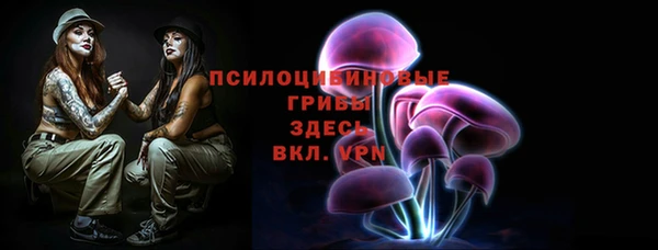 гашик Кинешма