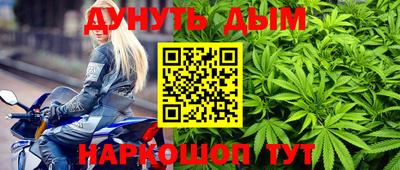 гидра Беслан