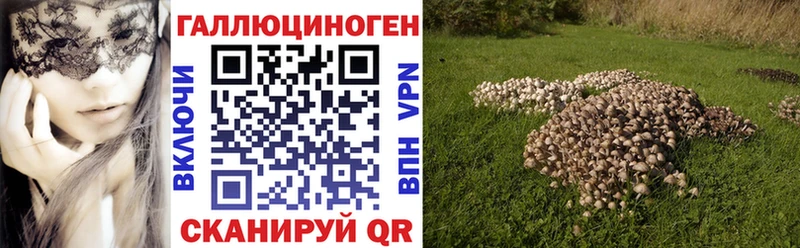 Галлюциногенные грибы Psilocybe  Белгород 