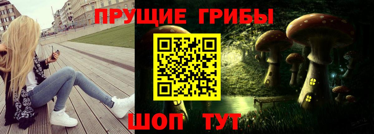 Псилоцибиновые грибы прущие грибы Белгород